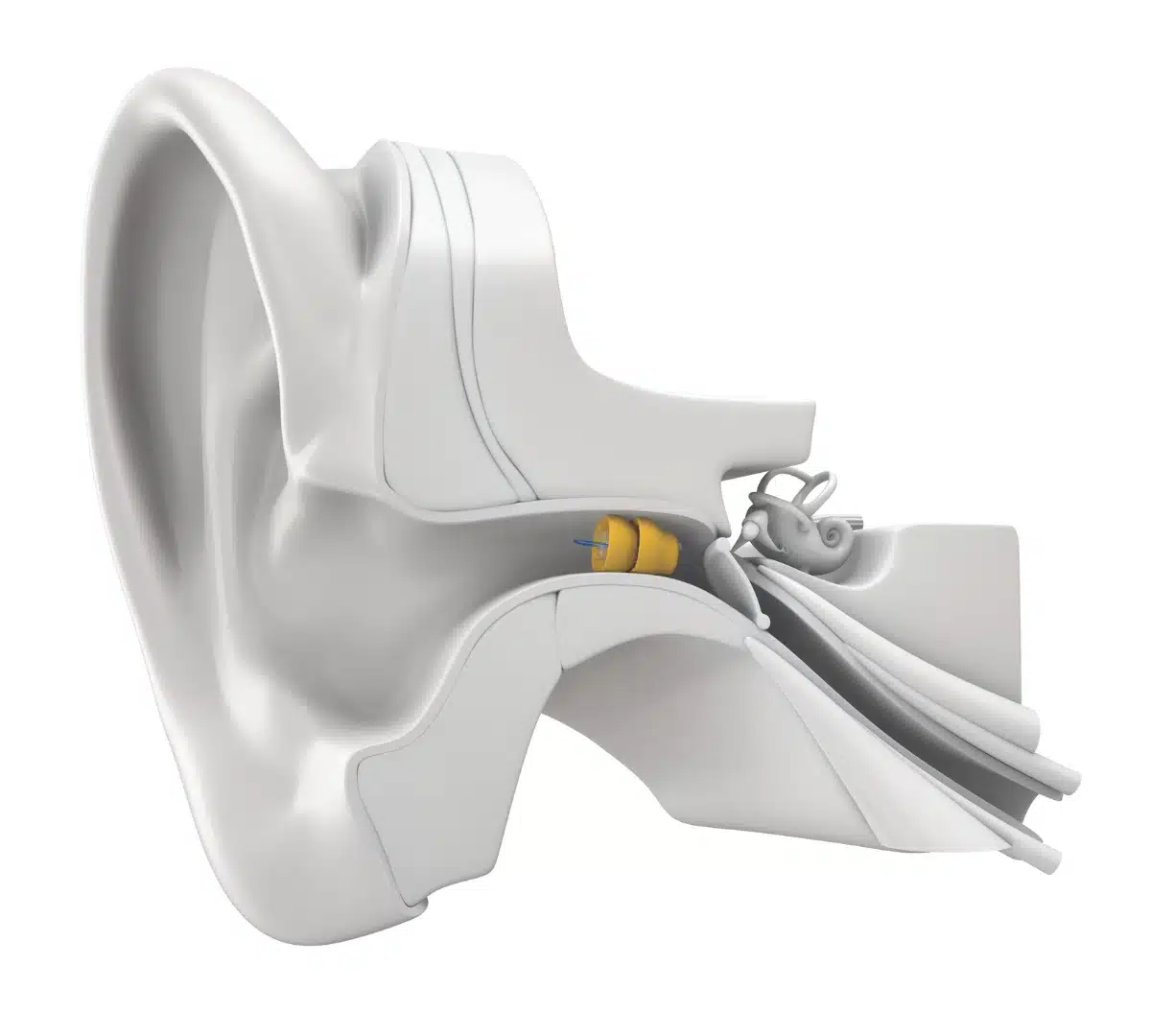 Lyric in ear model features Invisability
